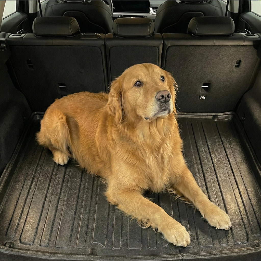 Compatible with BMW 5 Series F11 Touring Boot Liner Mat (2010-2017)